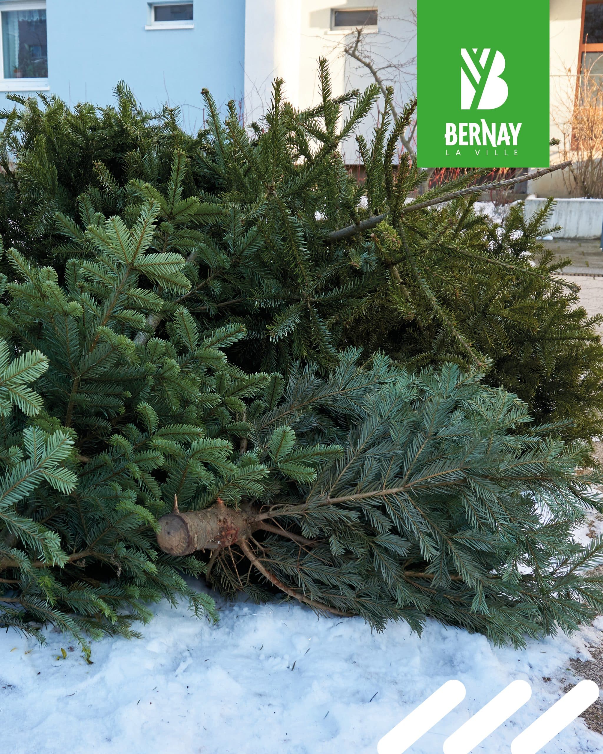 points de collecte sapins de noel Web