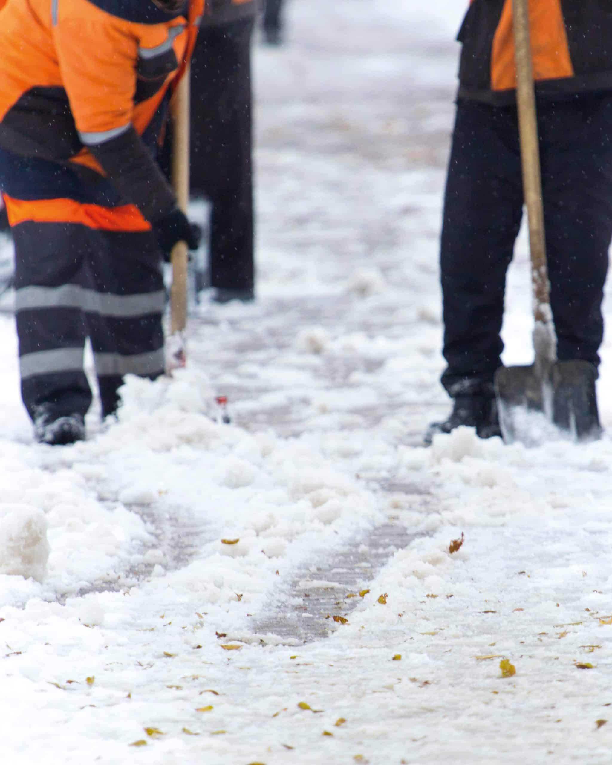 05012026-info municipale WEB