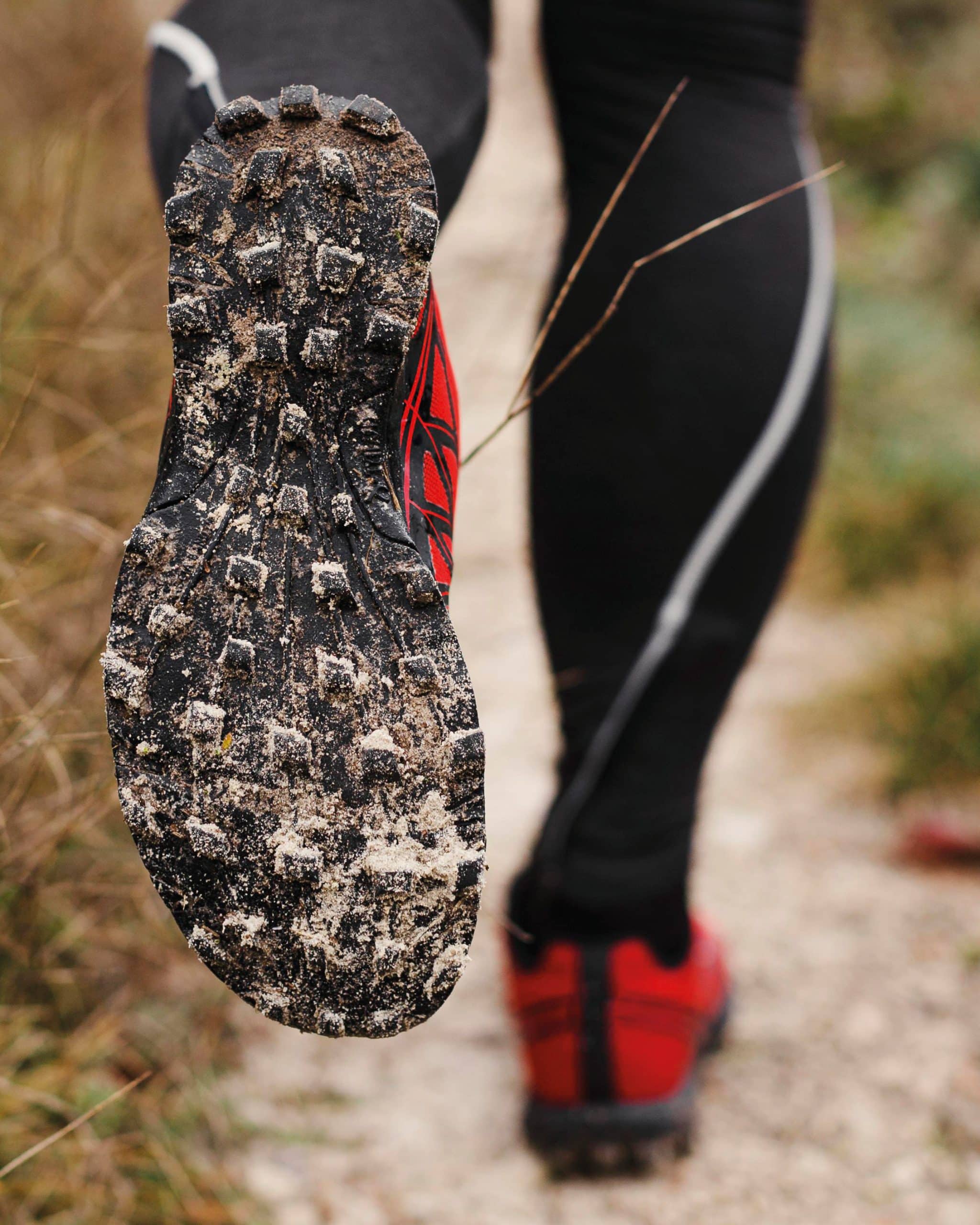 25012026-cross country