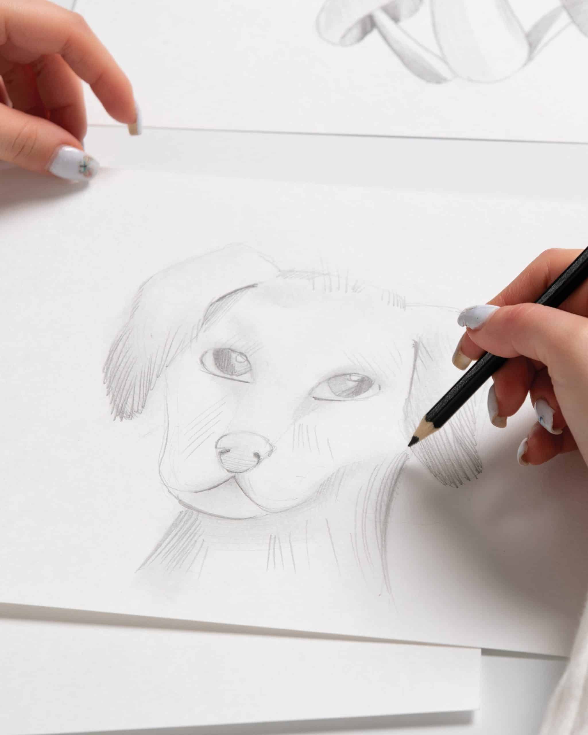 26022026-dessine un animal