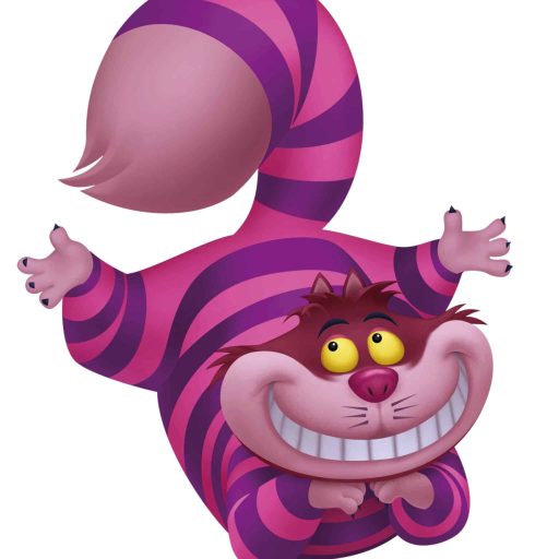 chatCheshire WEB